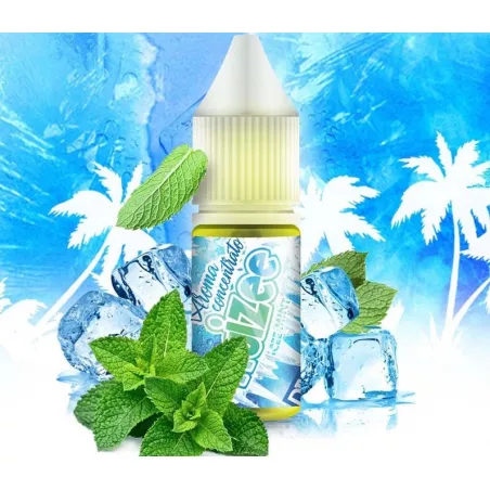 Icee Mint Aroma Concentrato 10ml Fruizee