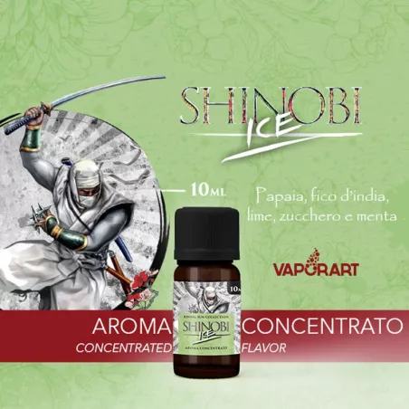 Shinobi Ice Aroma Concentrato 10ml Vaporart